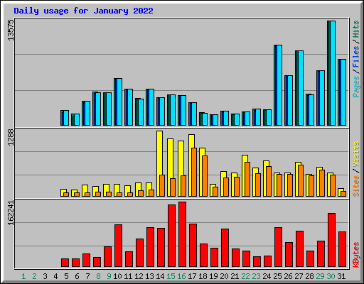 Daily usage for January 2022