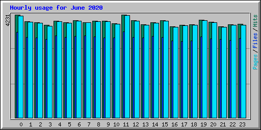 Hourly usage for June 2020