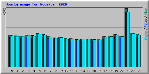 Hourly usage for November 2020