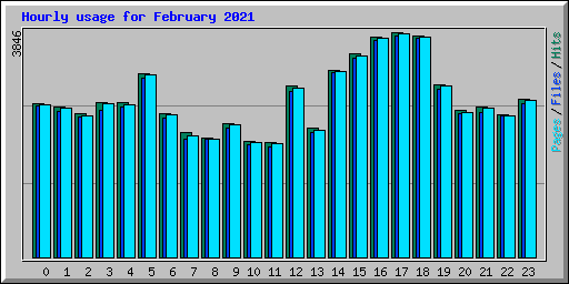 Hourly usage for February 2021