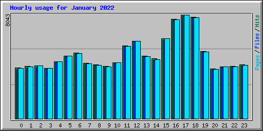 Hourly usage for January 2022