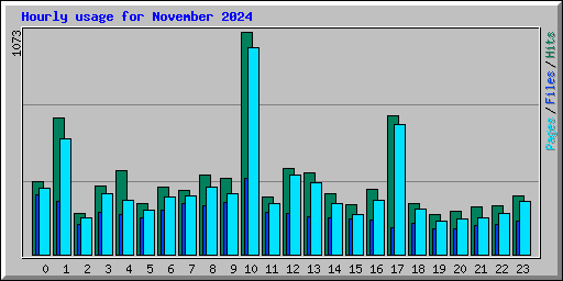 Hourly usage for November 2024