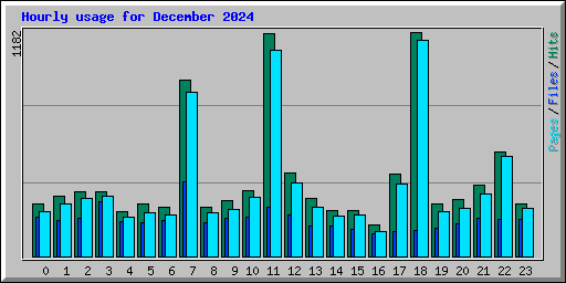 Hourly usage for December 2024