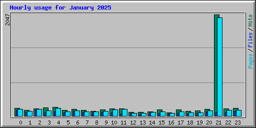 Hourly usage for January 2025