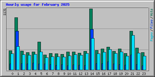 Hourly usage for February 2025